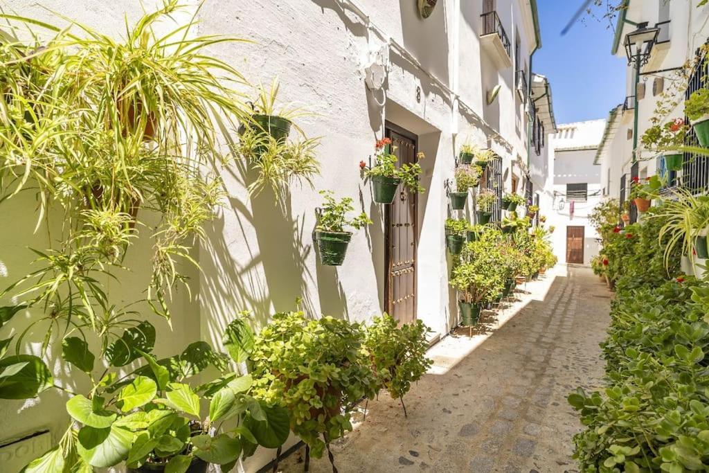 Casa Con Patio Y Terraza En Barrio Historico De La Villa, Junto Al Adarve Priego De Cordoba Exterior photo